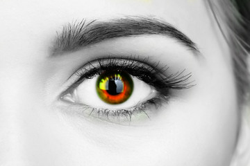 Beautiful colorful eye close up