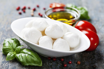 Mozzarella with tomatos and basil leaves