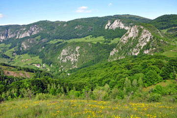 Summer in the mountains