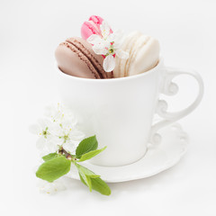 Three different sweet and colourful french macaroons in cup and