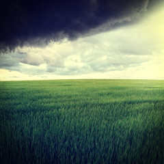 Plakat Landscape with Dramatic Sky