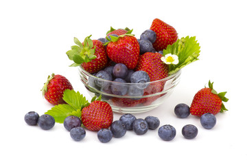 fresh fruits on white background