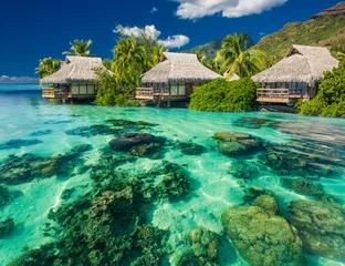 Fototapeten Beautiful above and underwater landscape of a tropical resort © Martin Valigursky