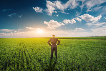 Fototapeta premium Businessman in a wheat field