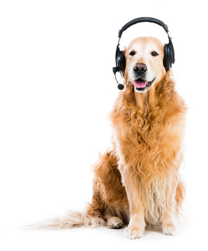 Retriever with headset