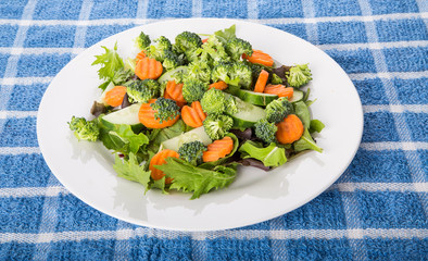 Fresh Garden Salad of Broccoli Carrots Cucumber on Field Greens