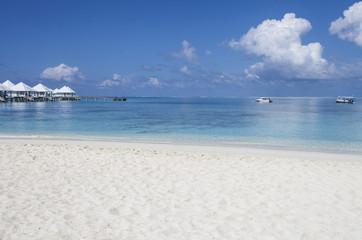 Fototapeta na wymiar beach in the Maldives
