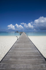 Fototapeta na wymiar beach in the Maldives