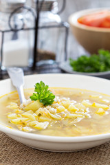 Soup with salted cucumbers and pearl barley