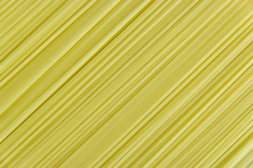 Spaghetti noodle background and Texture