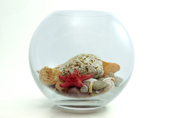 aquarium isolated on white background