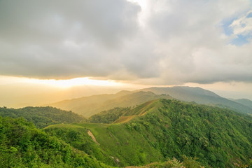 Naklejka premium Morning light over the wild