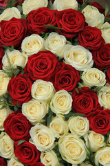 Obraz na płótnie Canvas Red and white roses in a wedding arrangement