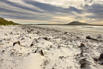 Stoff pro Meter Südamerika Pebble Island - Falkland Islands