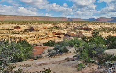 Natural Bridges N. M., Utah