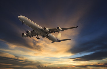 Fototapeta na wymiar passenger plane flying on beautiful dusky sky