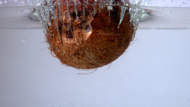 Coconut falling in water on white background
