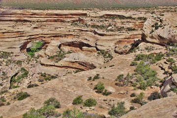 Natural Bridges N. M., Utah