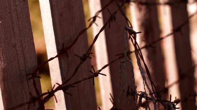 barbed wire