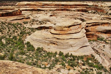 Natural Bridges N. M., Utah