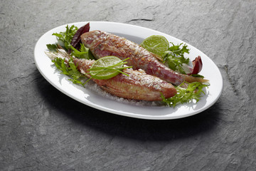 Fisch Rotbarben