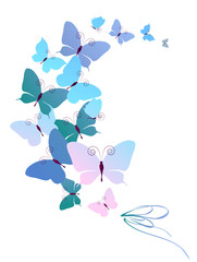 butterflies design