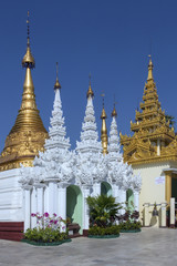 Fototapeta premium Shwedagon Pagoda Complex - Yangon - Myanmar