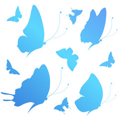 butterflies design