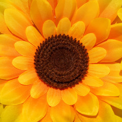 Artificial sun flower