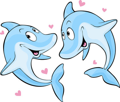 dolphin in love