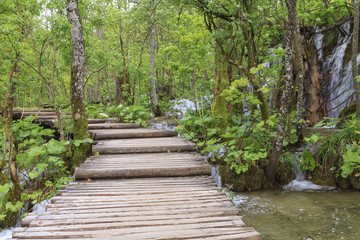 Obraz premium Ścieżka leśna na Jeziorze Plitwickim