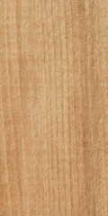 Texture of wood background