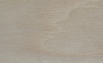 Texture of wood background