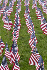 Numerous commemorative US flags