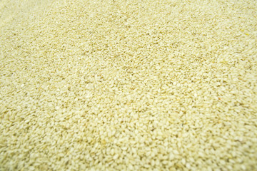 sesame seeds