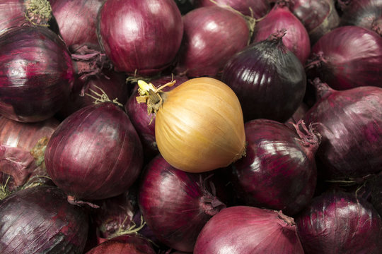 red and white onion