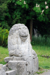 Stony chapped figure of lion at entrance to Olesko Castle