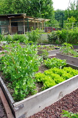carré potager © savoieleysse