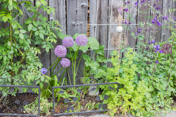 Blumenbeet mit Holzwand