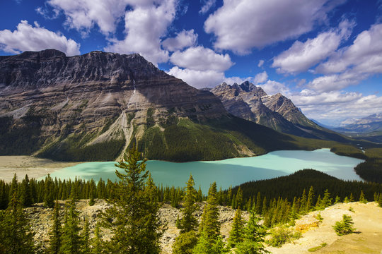 Peyto Lake