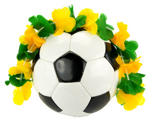 Fußball - Brasilien