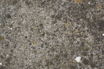 old wall textur