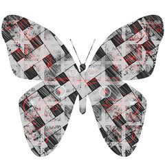 papillon © yannpro
