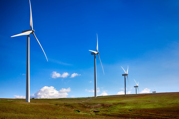 Wind turbines on green meadow. Spain