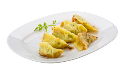 Japan dumplings - gyoza