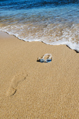 Swimmer glasses on yellow sand a front of seashore.