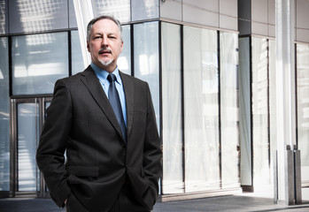 Senior businessman portrait