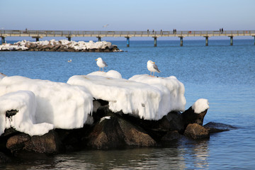 Seebr&uuml;cke Sch&ouml;nberg Ostsee Probstei Winter