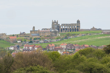Fototapeta na wymiar View of english countryside with abbey ruins