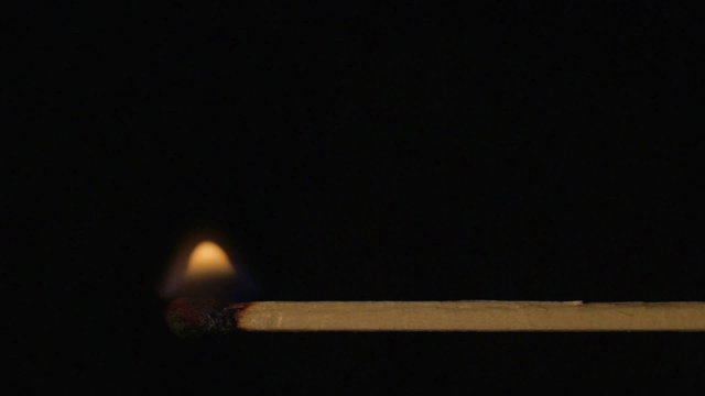 Burning wooden match, fire spreads wood stick with sound